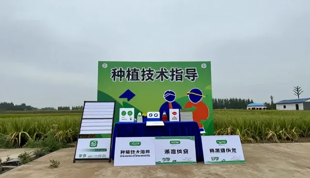 种苗供应操作流程中的性能差异与适用条件分析