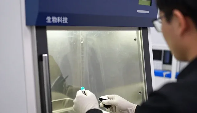 山东新谱生物科技有限公司打造符合现代需求的质粒DNA